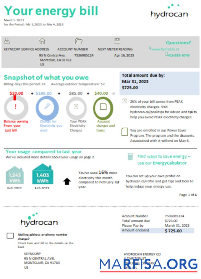 Printable Ontario Hydrocan electricity business bill, SCR template
